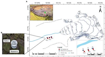 Sink or Source: Alternative Roles of Glacier Foreland Meadow Soils in Methane Emission Is Regulated by Glacier Melting on the Tibetan Plateau